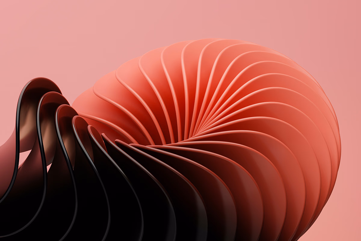 Wisdom For Life coaching program